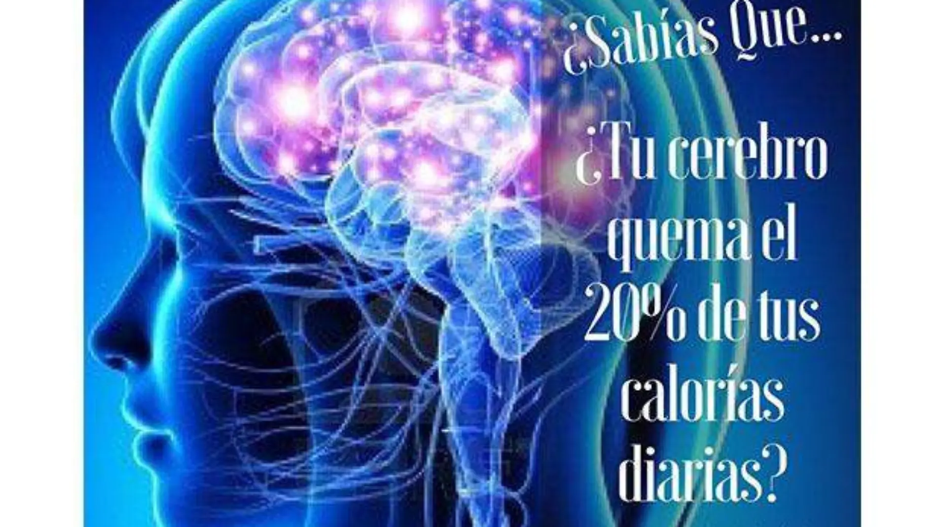 calorías cerebro